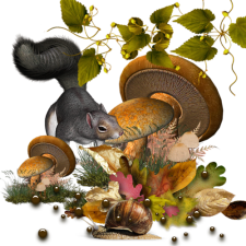 őszi állatok_151.png